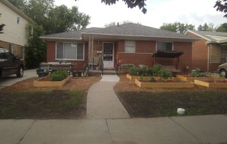 Click to enlarge vegetables in front yard