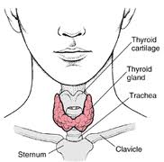 percholorate Thyroid