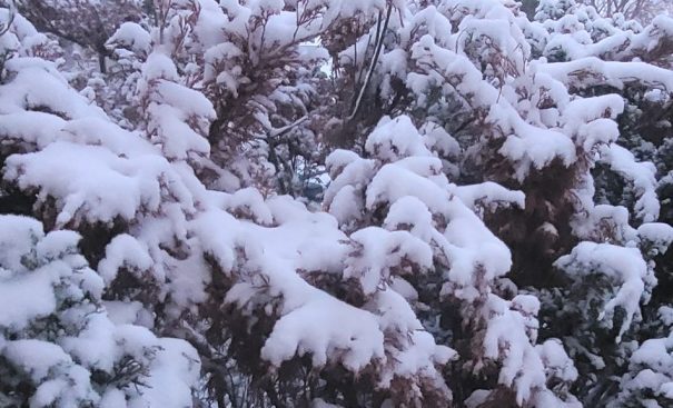 Much of Saskatchewan has been hit with heavy wet April snow, including Regina, where about ten centimeters has already fallen.