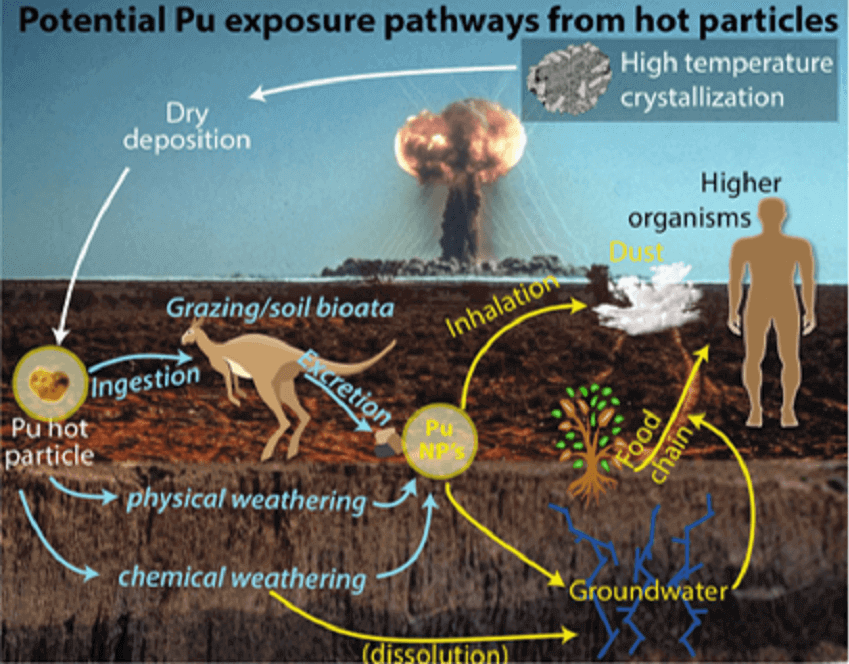 Radioactive Particles