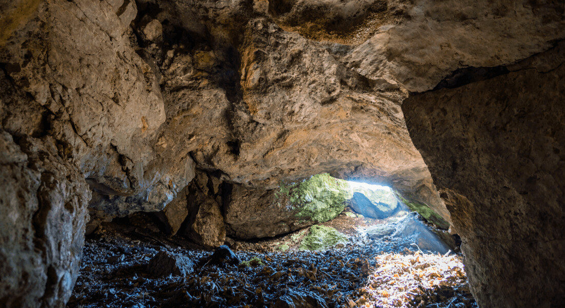 Neanderthal Cave
