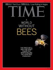 time magazine bees
