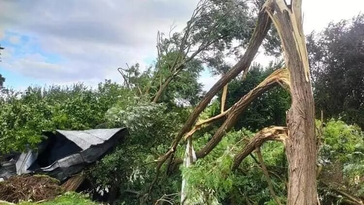 Click to enlarge Consequences of the tornado in the Slovak village Petkovce