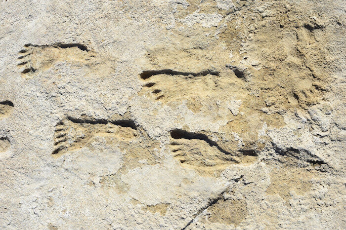 Ancient Human Footprints