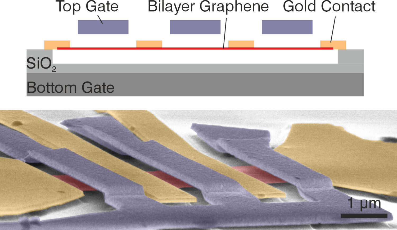 graphene double layers