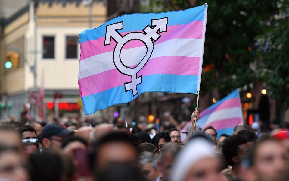 trans flag protest