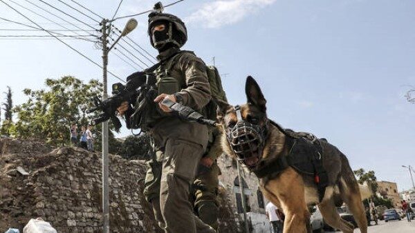 Israeli K-9 soldier and dog