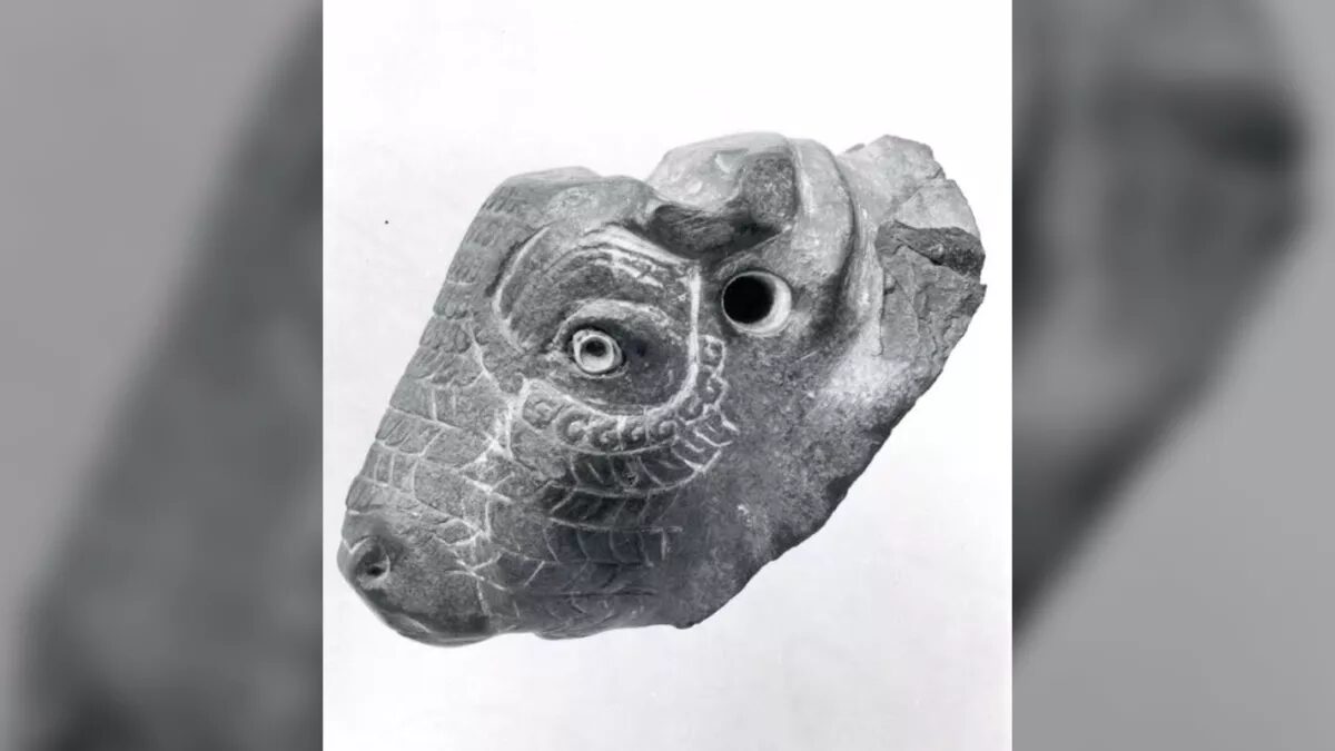 Click to enlarge Bull-Headed Vessel