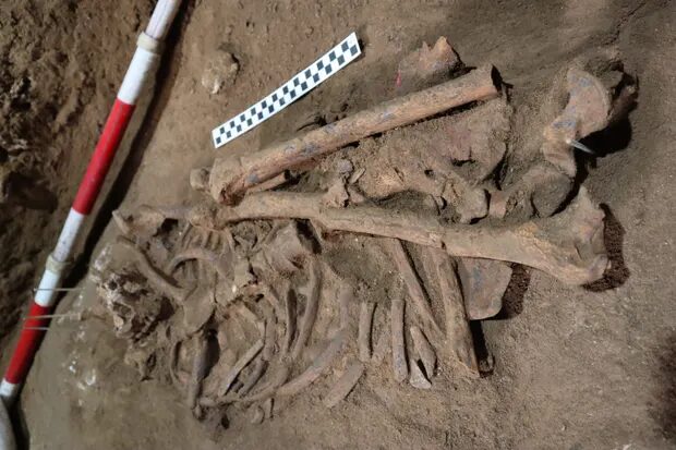Click to enlarge surgery archeology