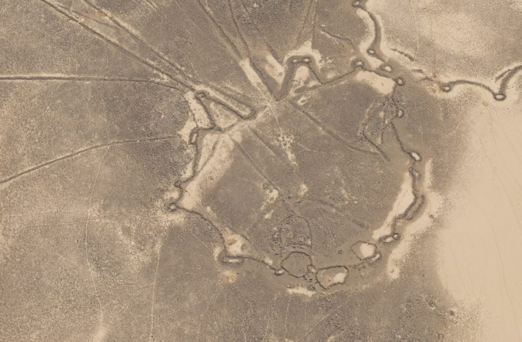 Click to enlarge Kites in Saudi Arabia