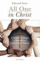 book critical race theory rebuttal