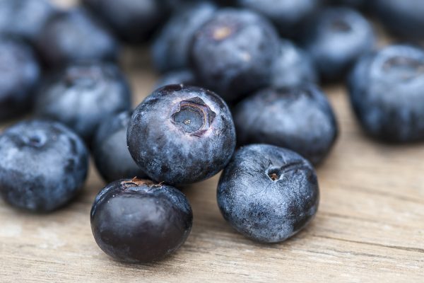Blueberries resvertrol antioxidant covid treatment