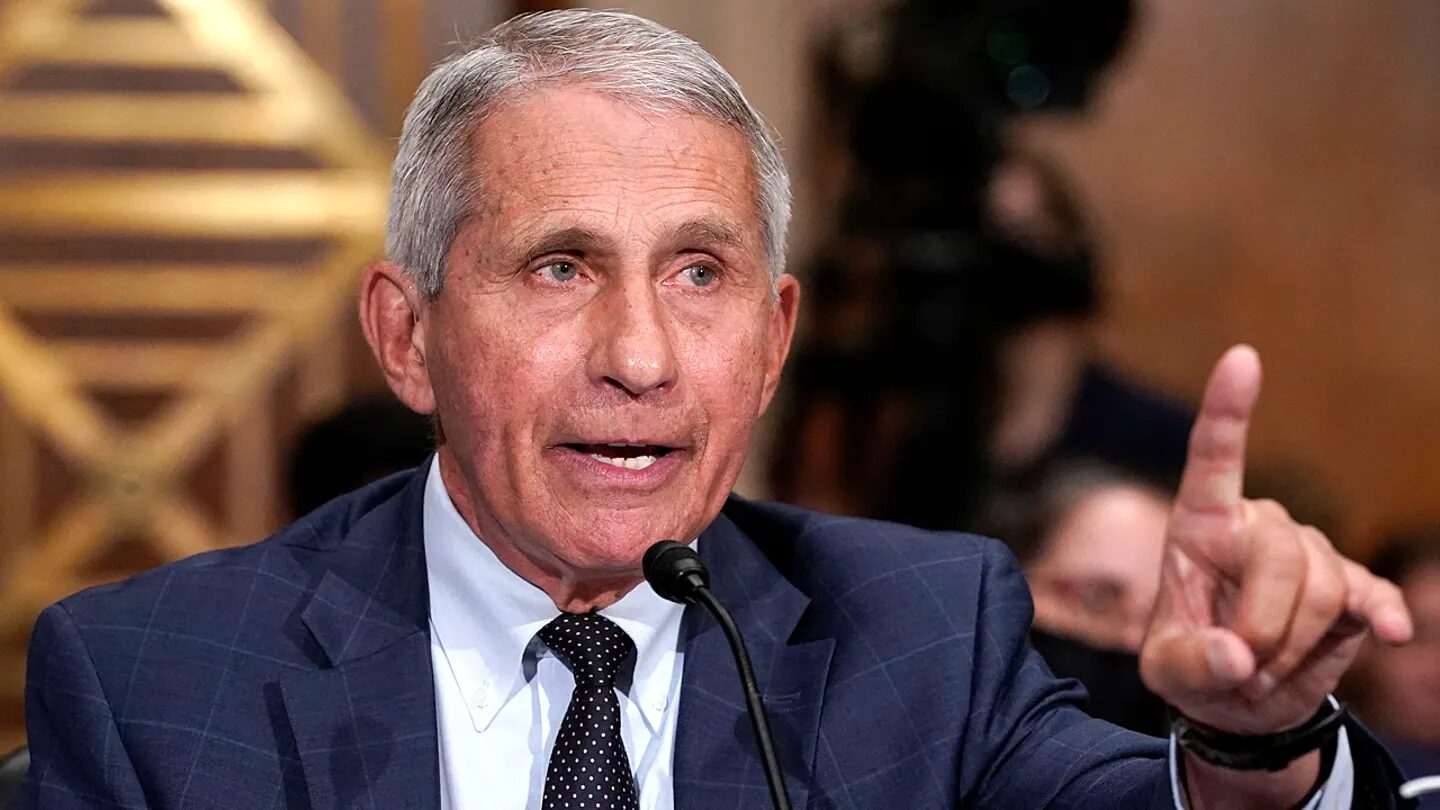 Click to enlarge fauci capitol hill senate