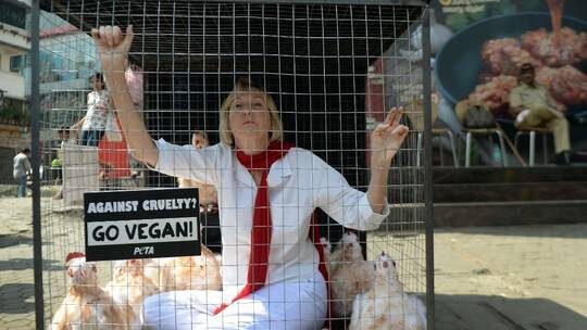 Click to enlarge Ingrid Newkirk