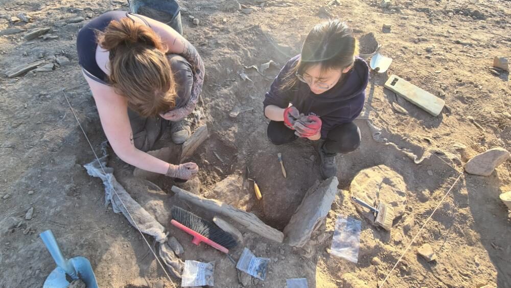Archaeology students