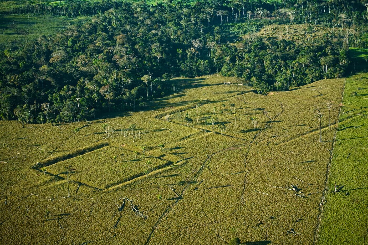 Earthworks on Amazonian landscape