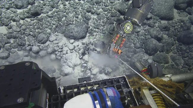 robot finds megalodon tooth