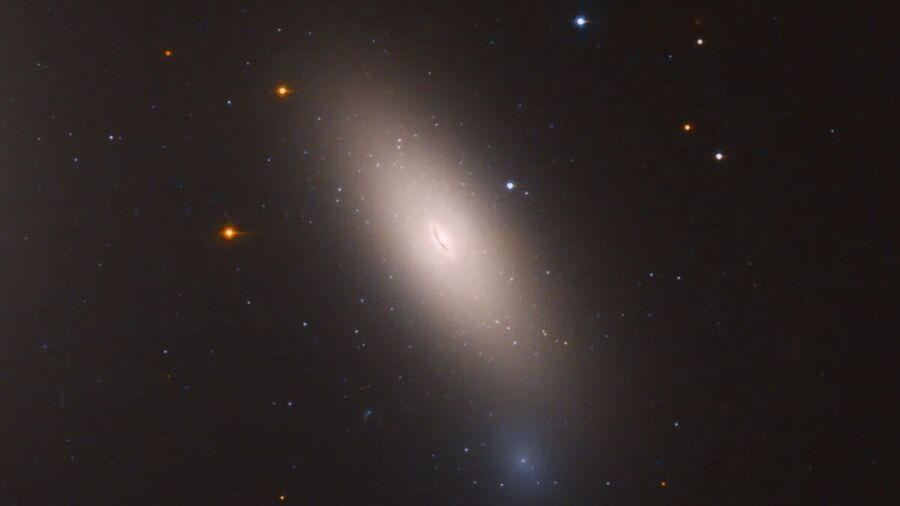 galaxy NGC 1277 devoid of dark matter.