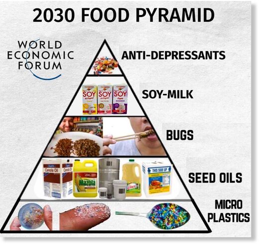 WEF food pyramid
