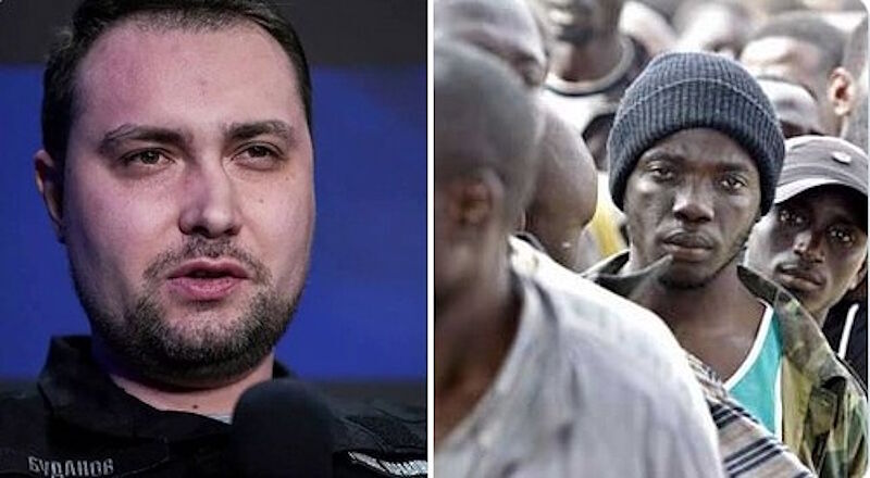 Click to enlarge Kyrylo Budanov african migrant