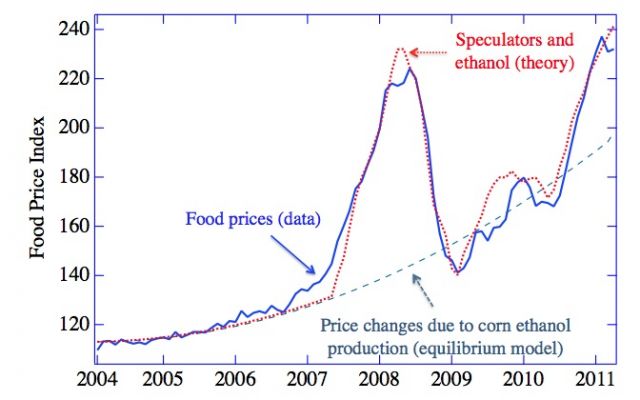 food price speculation
