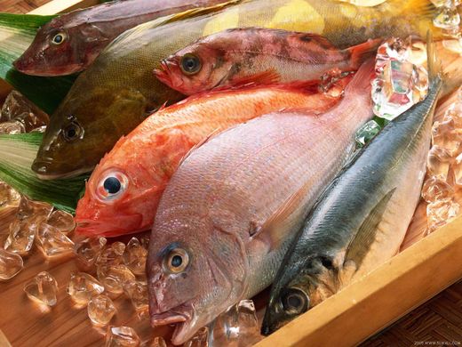 Click to enlarge Market_Fresh_Fish_on_Ice