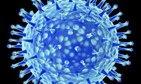 Click to enlarge bird flu virus