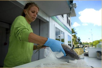 Click to enlarge fish kill,estro bay