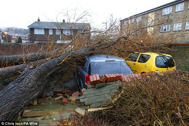 Storm fallen tree Havant