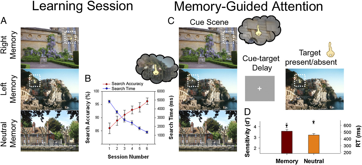 memory-guided attention 1