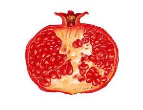 Pomegranate_1