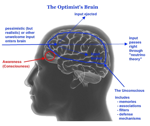 optimists brain graphic