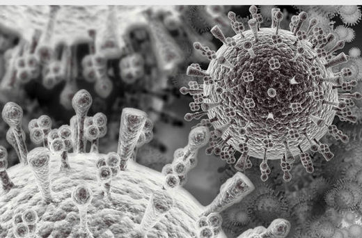 virus microscopic