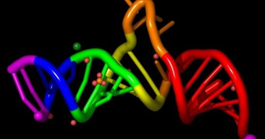 A strand of RNA.