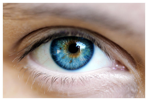 Click to enlarge Eyes