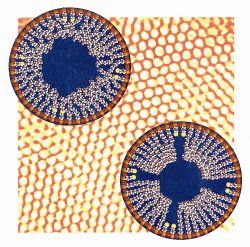 Click to enlarge nano graphic