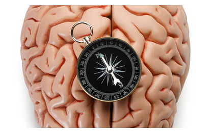 Brain Compass