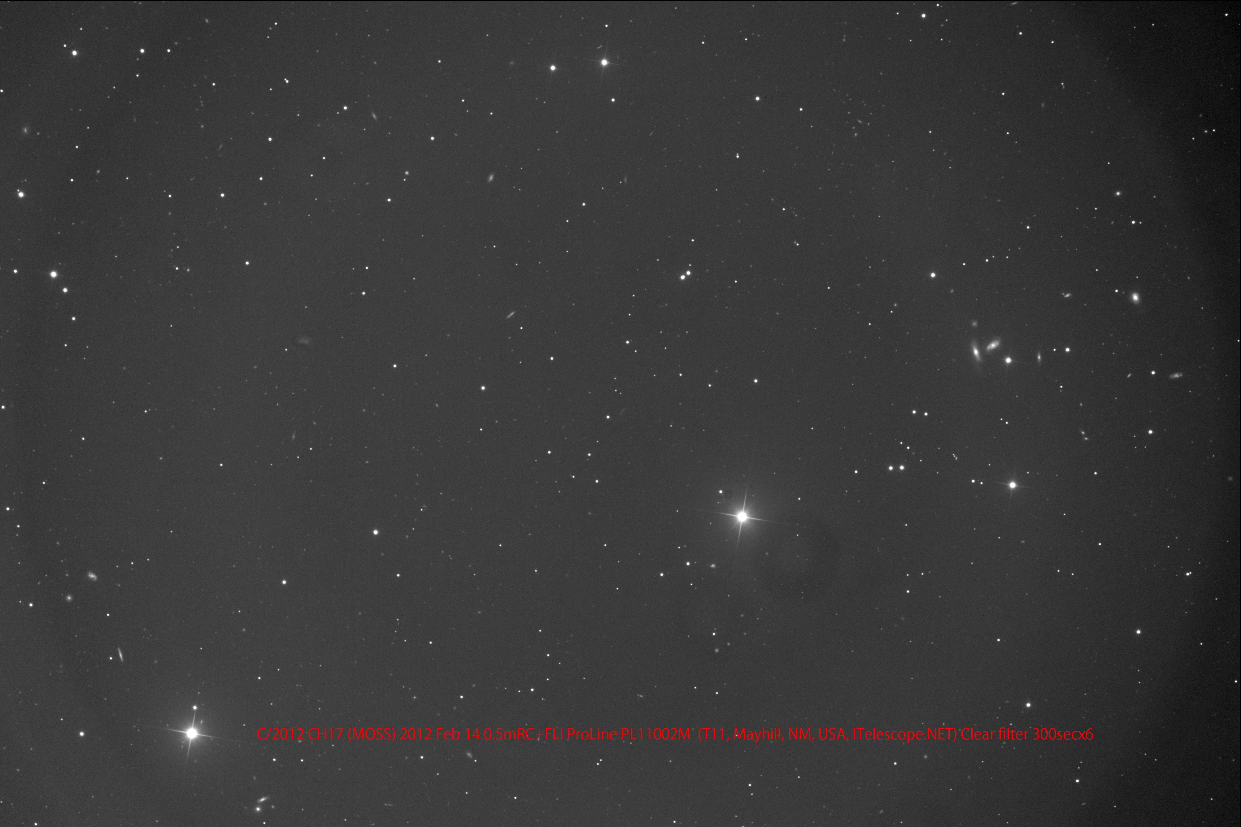 Click to enlarge Comet Moss