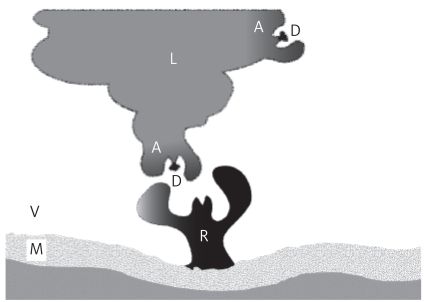 Click to enlarge Image