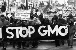 Click to enlarge Stop GMO