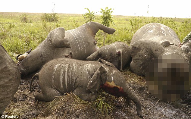 Elephant Massacre