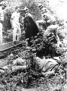 Click to enlarge Image