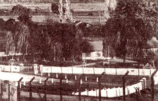 Click to enlarge Image