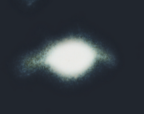 Click to enlarge Image