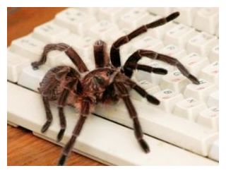 Click to enlarge Spider