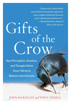 Gifts of The Crow