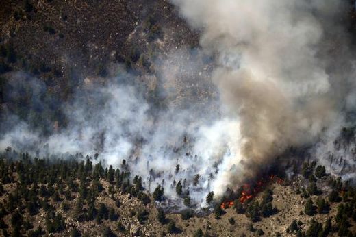 Seen from a helicopter, trees burn and plumes of smoke rise over the High Park Fire west of Fort Collins. 
