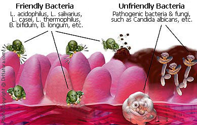 Click to enlarge Image
