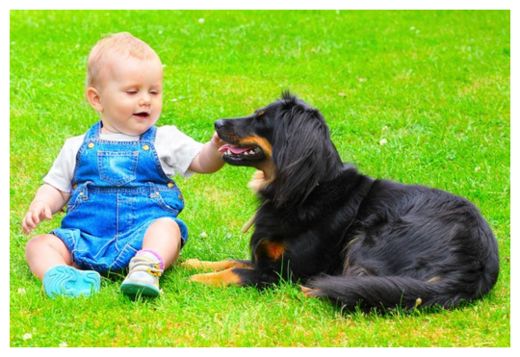 Click to enlarge Baby and Dog