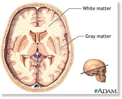 Click to enlarge Image